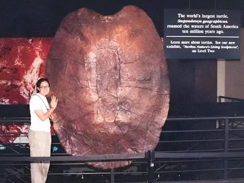 Stupendemys geographicus