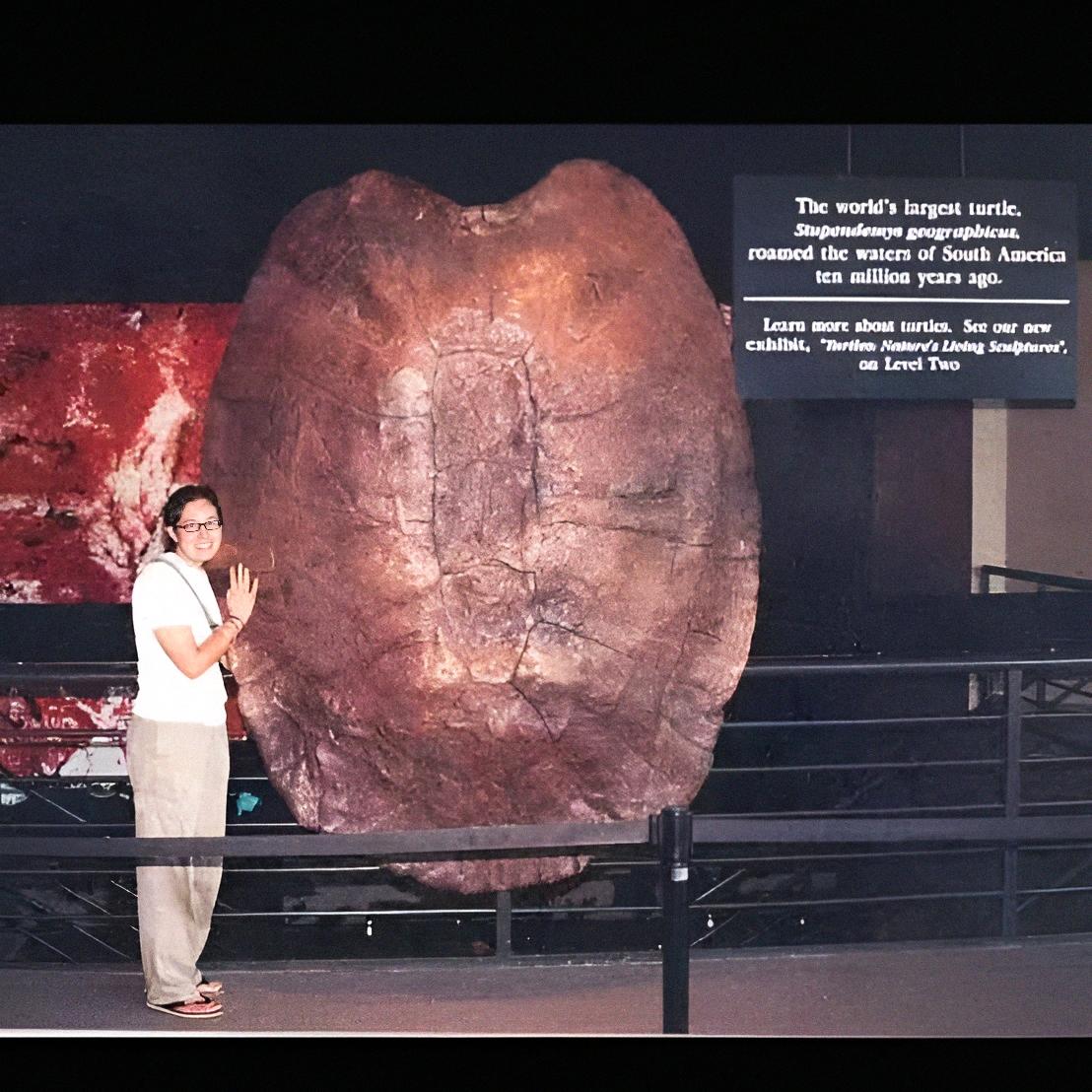 Stupendemys geographicus